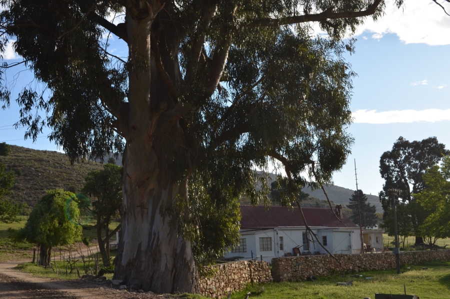 0 Bedroom Property for Sale in Uniondale Western Cape